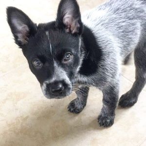 Meet your Posher, Kelly